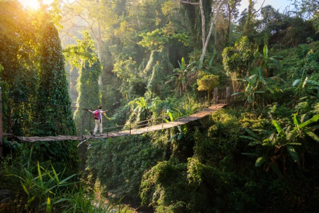 The Future of Eco-Tourism in a Post-Pandemic World: Traveling with Purpose and Planet in Mind