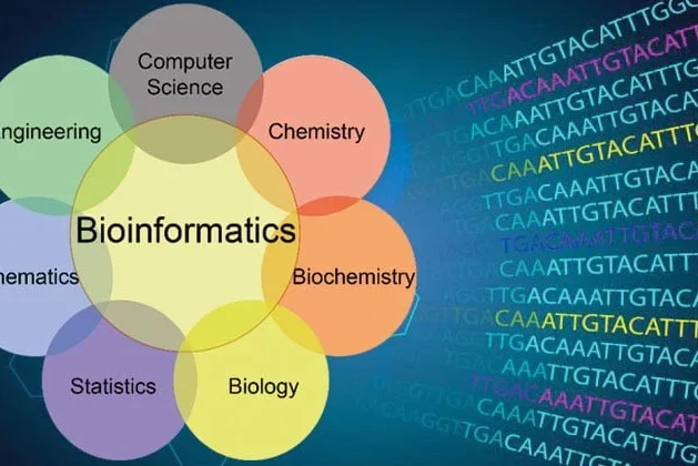 Bioinformatics: Where Biology Meets Data Science to Revolutionize Healthcare and Research