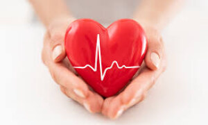 Cardiovascular Health: Everyday Habits That Strengthen Your Circulatory System Naturally