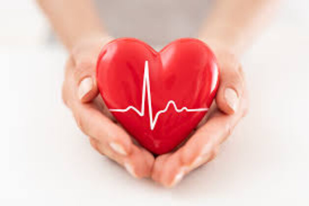 Cardiovascular Health: Everyday Habits That Strengthen Your Circulatory System Naturally