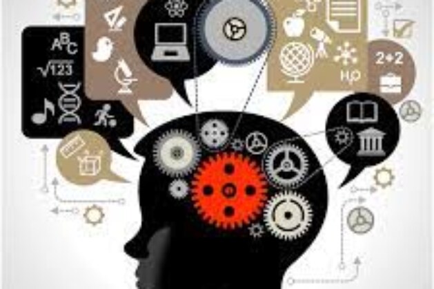 Using Psychometric Tests in Career Counselling: Are They Effective?