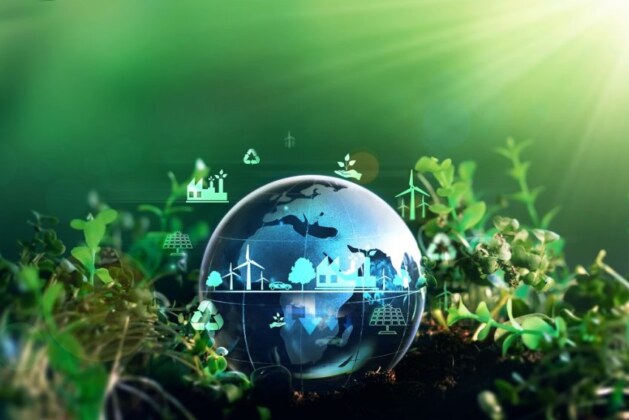 How Environmental Engineering Is Shaping the Fight Against Climate Change