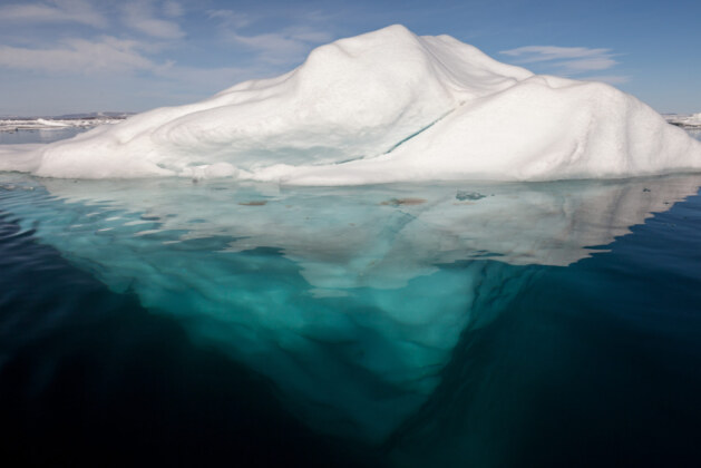 Why Icebergs Float: A Real-Life Example of Buoyancy and Density