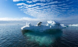 Melting Glaciers and Coastal Cities: A Ticking Time Bomb