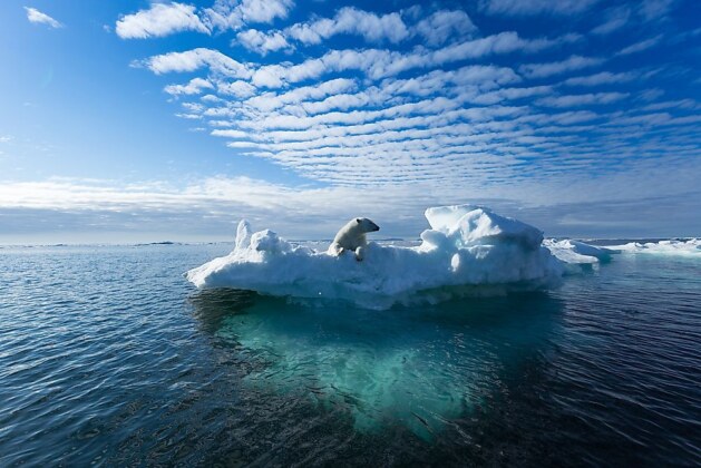 Melting Glaciers and Coastal Cities: A Ticking Time Bomb